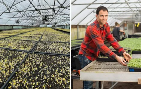 The evolution of the microgreens business