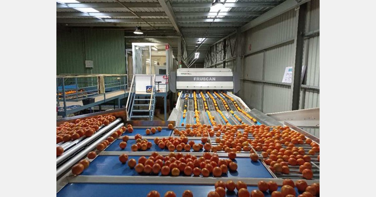 “This sorting line largely increased our sorting accuracy”