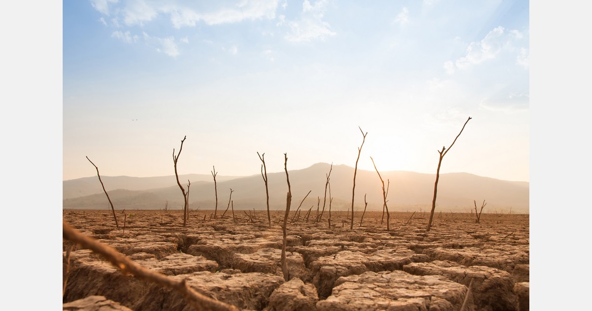 Weather Extremes Impact On Global Fruit And Vegetable Sector