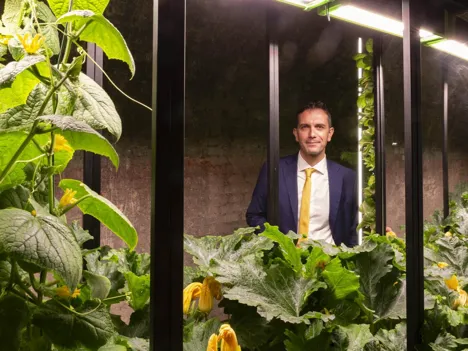 Tunnel Farm: one of the few cases of underground 'indoor vertical farming' in the world