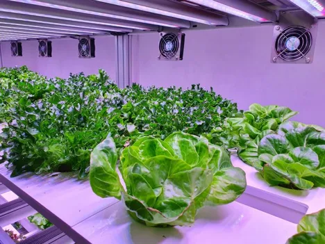 US (OR): AgTech Innovation Hub announces funding for research projects