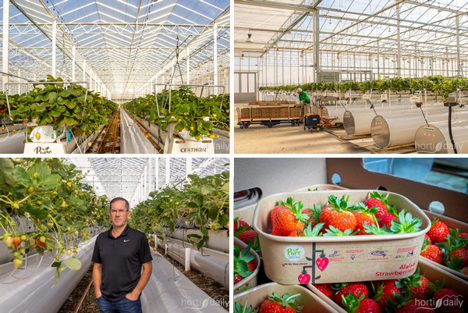 UAE: Tapping into fruiting crops and adding new facilities throughout the MEASA region