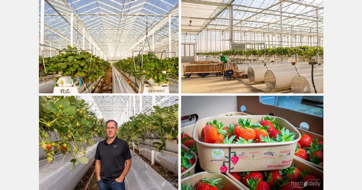 استغلال محاصيل الفاكهة وإضافة مرافق جديدة في جميع أنحاء منطقة الشرق الأوسط وأفريقيا الوسطى