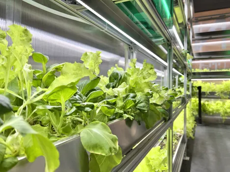 Where can you get accurate information about indoor farm production?