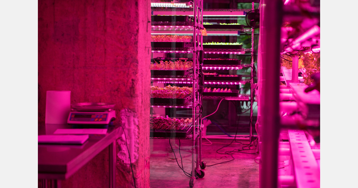 32 growing towers to come to the Caribbean