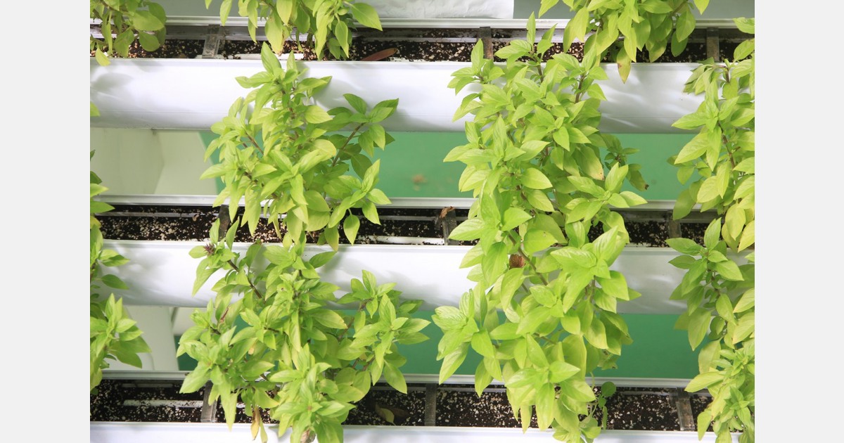 US: Purdue University to host hydroponic workshop