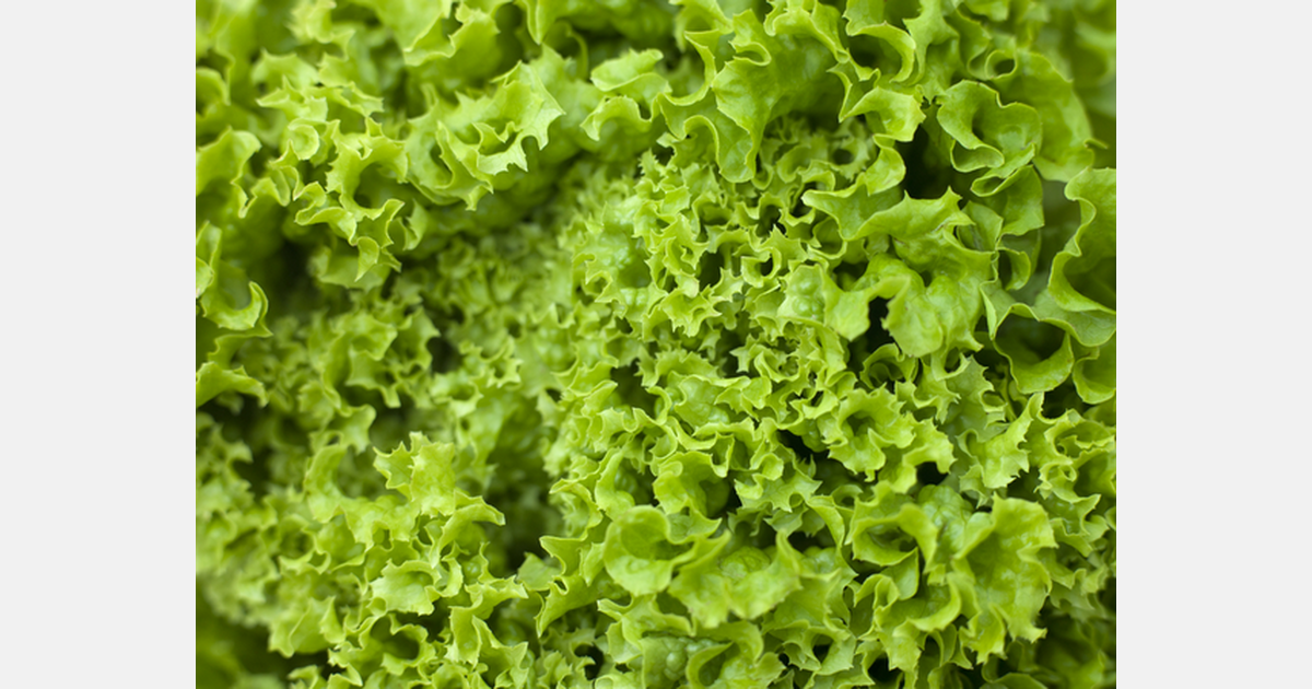 resources for leafy greens and herbs