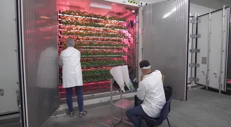 US (IN): Vertical Acres Farm officially launches