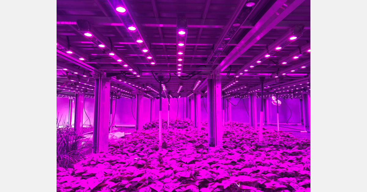 Supplying an additional 316 stores with farmfresh produce