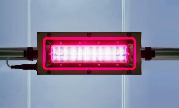 Liquid cooled led grow lights cheap