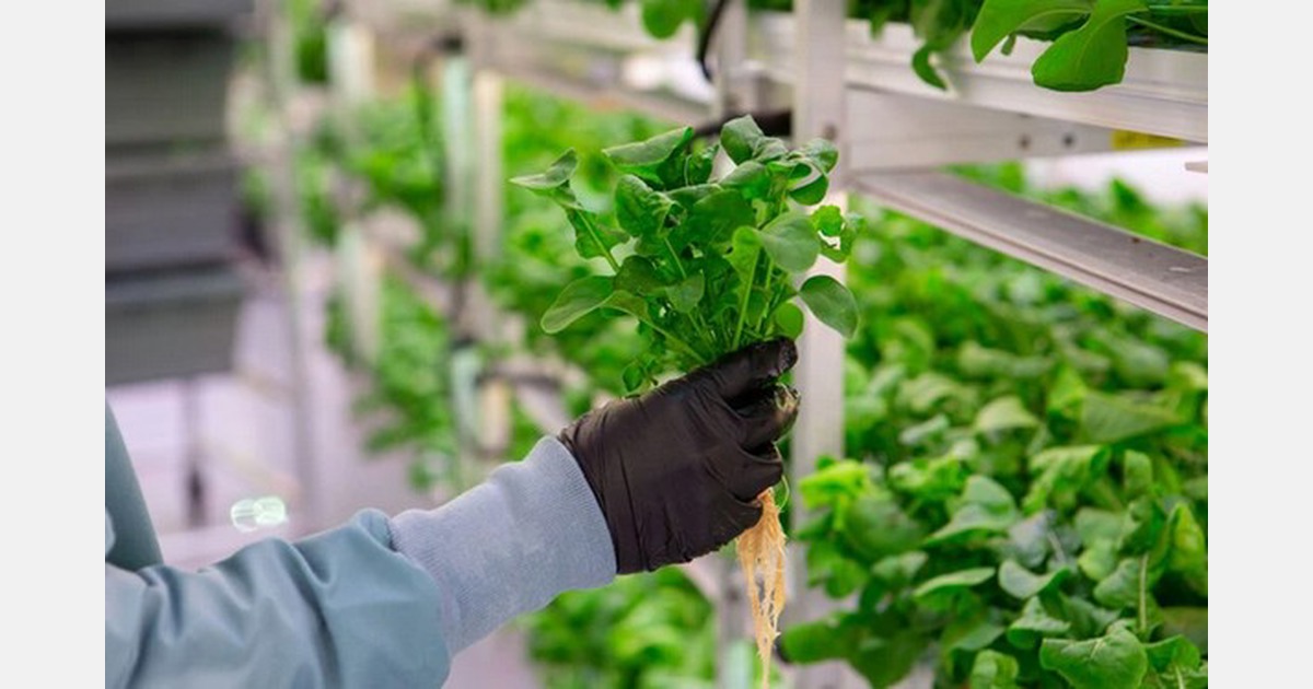 Controlled environments for optimal root health