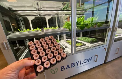 US (VA): Babylon Micro-Farms receives investment from Virginia Venture Partners
