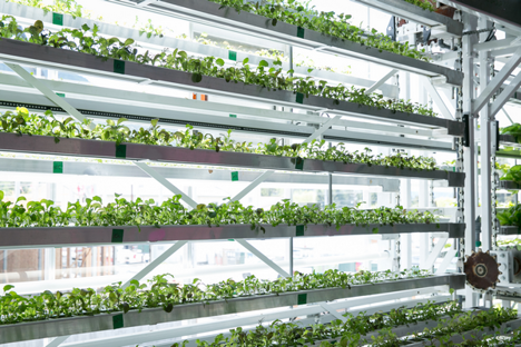 US (MI): Bedrock and Vertical Harvest plan to explore new proposed vertical farming infrastructure