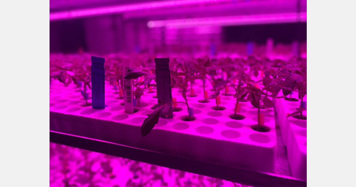 Canada Dutch holding company acquires Ontario Plants Propagation