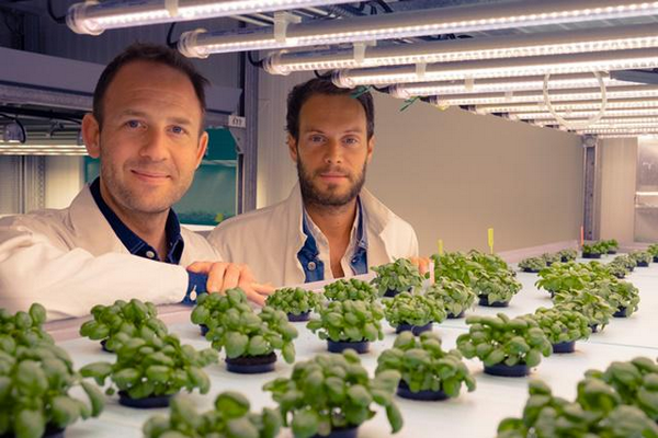 What does the vertical farming industry need to be more successful?