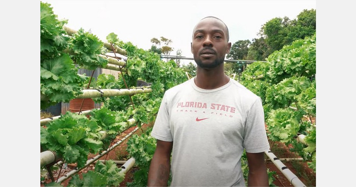How hydroponic farming is making a difference in Jamaica