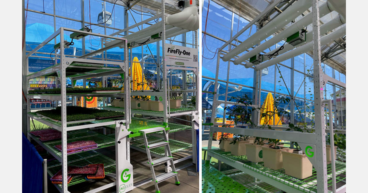 Turning North Texas from a food desert into a breadbasket