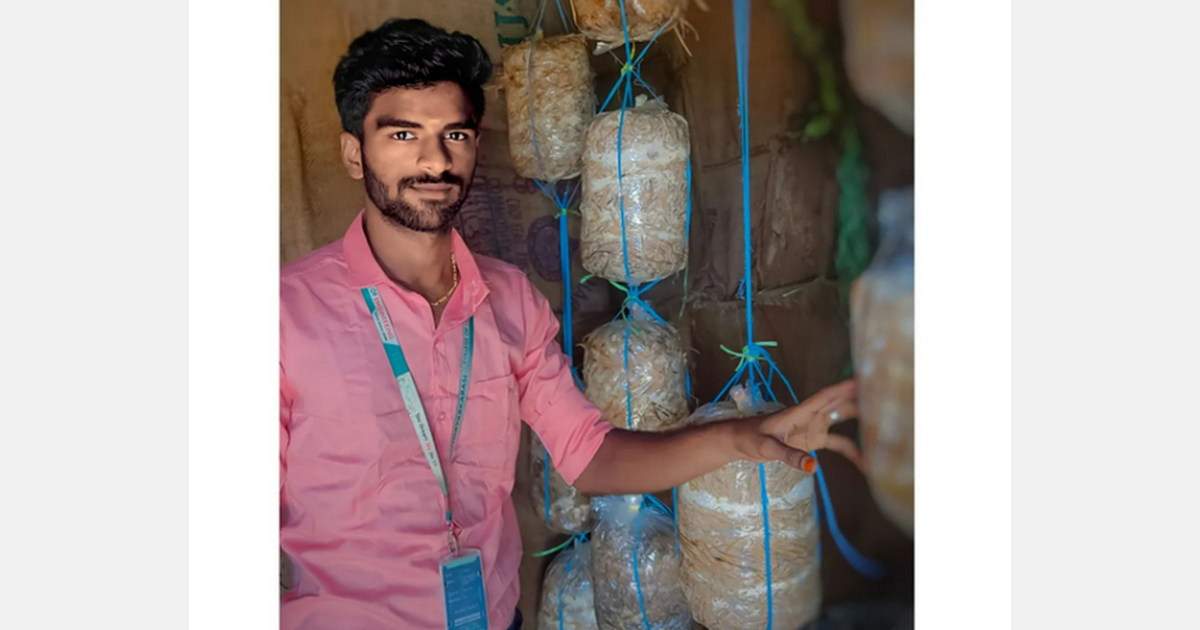 Indian mushroom cultivation