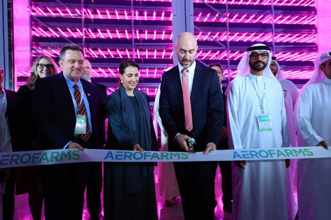 UAE: AeroFarms inaugurates R&D indoor vertical farm