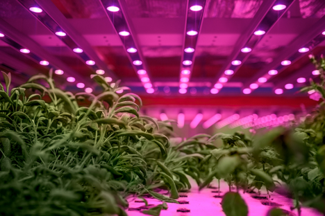 Improving energy- and water for vertical farms