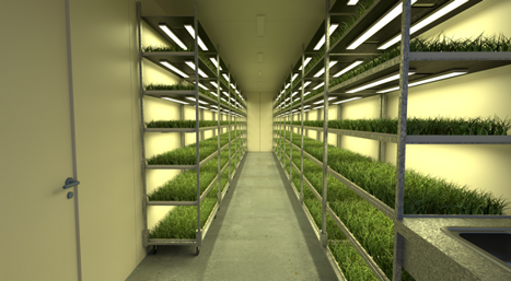 Latvia: “Container farms are everything you need, modular and affordable”