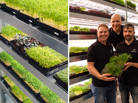 Germany: Inspiring microgreens production in Munich and beyond