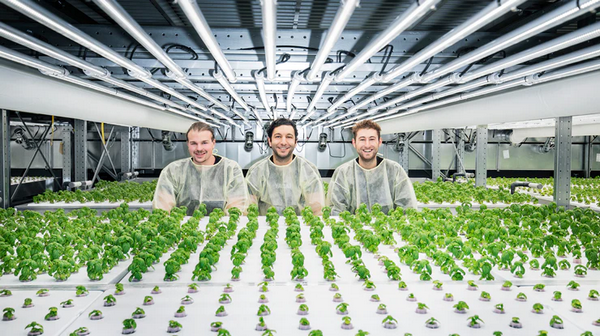 YASAI kicks off Innosuisse research project to optimize vertical farming