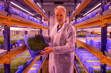 Denmark: Microgreens and shoots are a large part of the country's supply