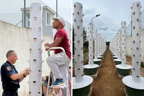 Portugal: Prison home to 40-tower vertical farm, adopting rehabilitation program