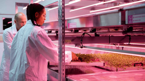 UK: Aeroponic rolling benches result in uplift of 22% compared to hydroponics