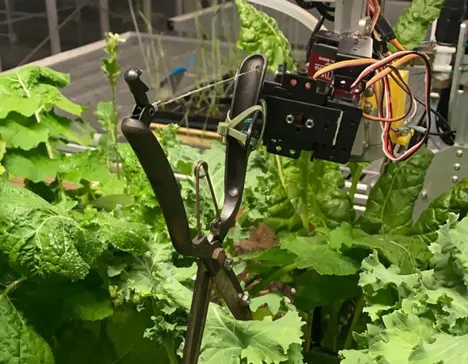 Robot passes turing test for polyculture gardening