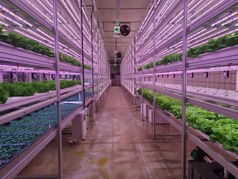 OnePointOne partners with Vertical Green Farming to expand distribution