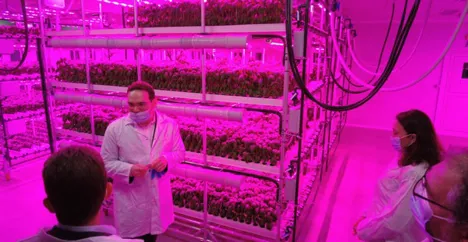 Turkey: Vertical farm to target shopping mall demographic