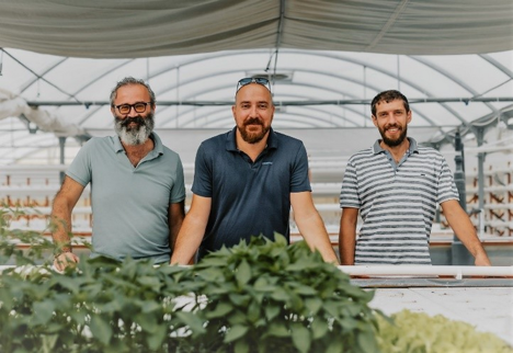 Malta: Aquaponic farming without significant operating costs