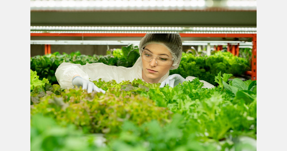 Stacked Farm plans to build indoor farms in every capital city of Australia