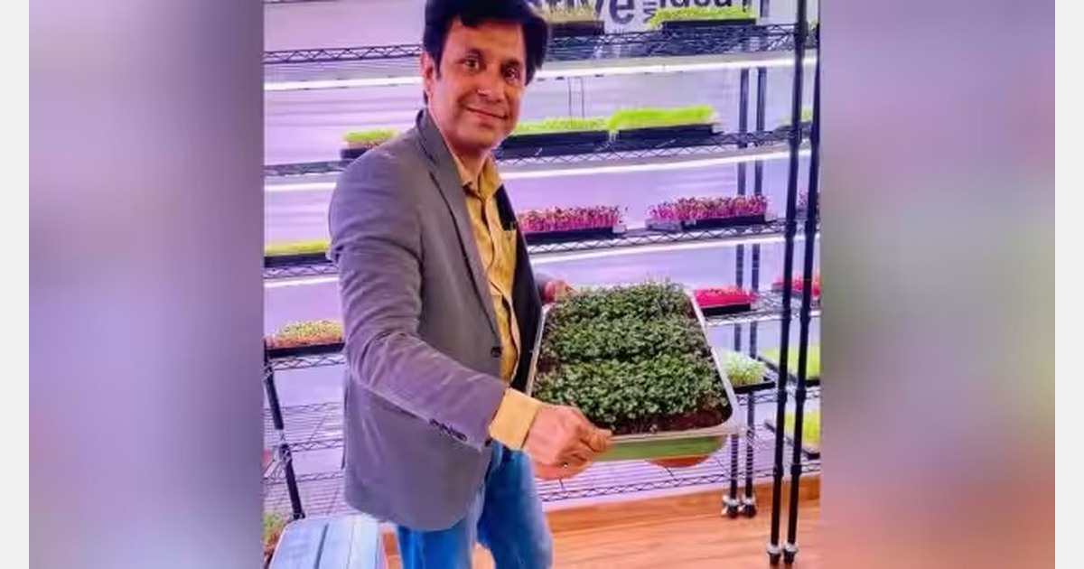 India: Embryonic Greens shaping urban farming through hydroponics