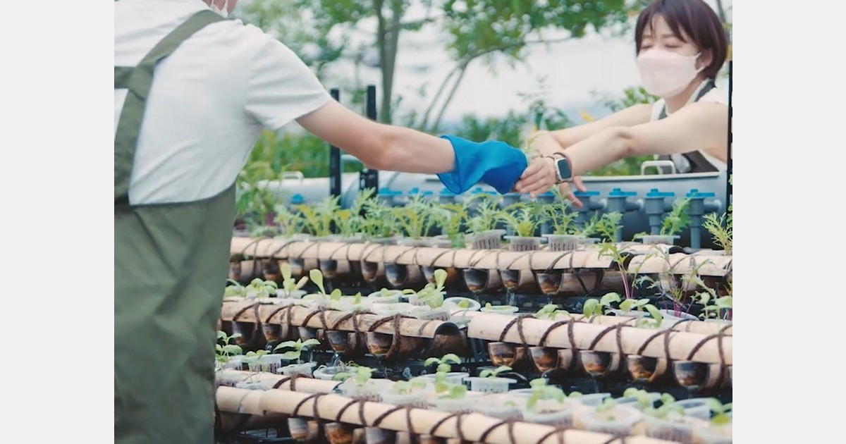 Japan Aquaponics as a way to include disabled and elderly workforce