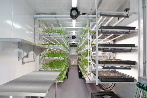 US (FL): USDA research laboratory to add vertical farming labs for CEA vegetable research