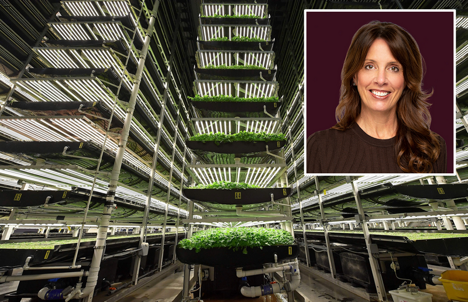 US: Aerofarms exits from Chapter 11 and appoints new CEO
