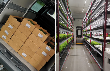 First boxes of microgreens delivered to customers in Northern Norway