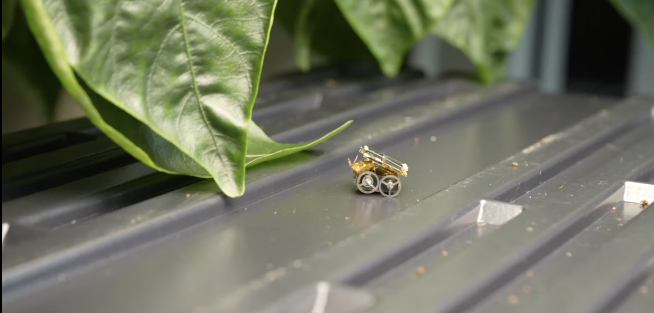 Photograph of MilliMobile near some leaves, on top of corrugated plastic