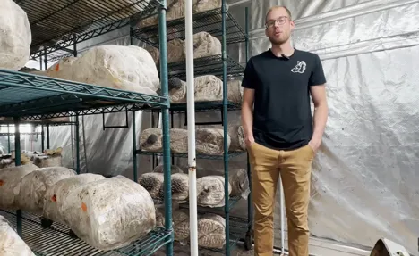 US (WI): Madison man grows 200 pounds of mushrooms a week in tiny downtown space