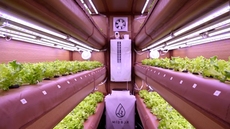 Abu Dhabi University launches container farm to grow potatoes and tomatoes