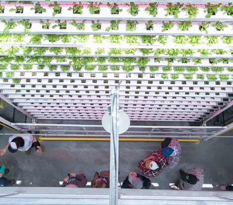 US (WY): Vertical farm expands partnership with Food Bank of Wyoming
