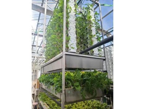 US (UT): Provo company builds vertical farm concept to boost water savings