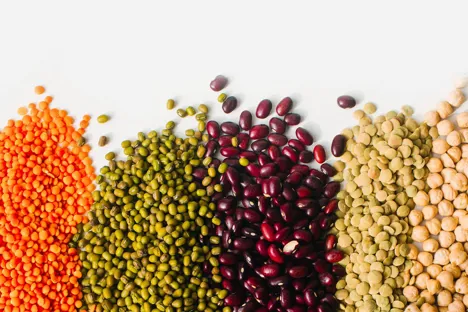 Achieving sustainable plant-based proteins from the UK’s production systems