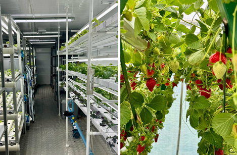 Chile sees great interest in vertical farming