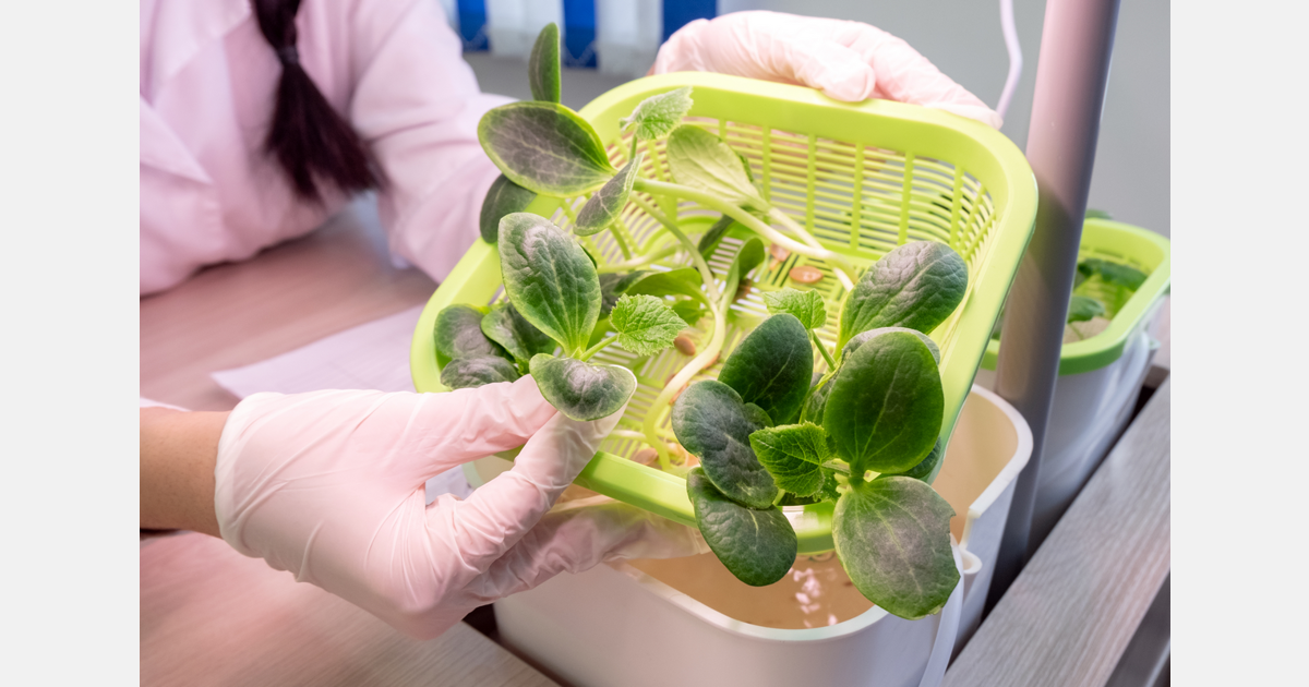 NASA: 10 Years of Students Growing Food in Space 🚀