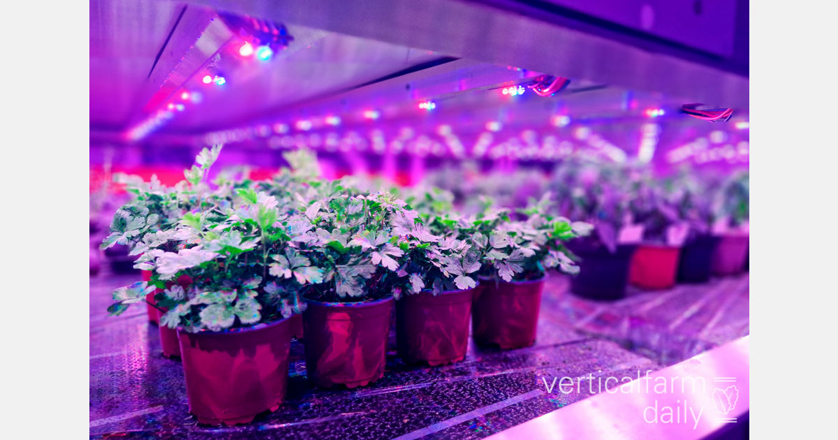 Kenya, Korea launch third Konza Technopolis project