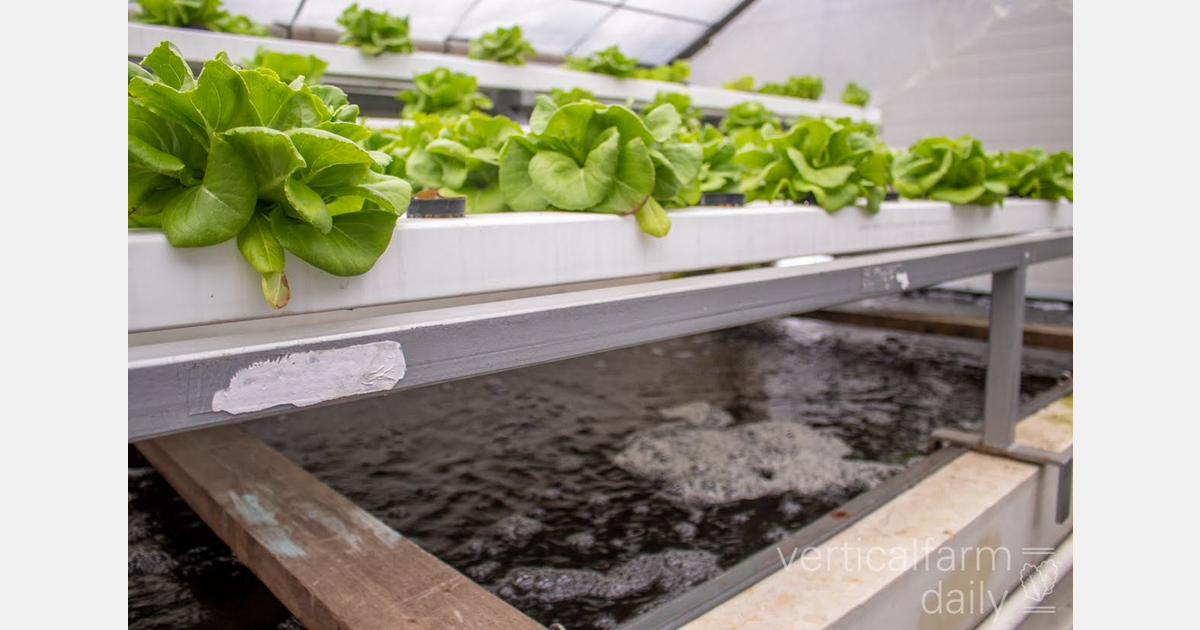 Regenerative Ag and sustainable practices to build resilient food systems